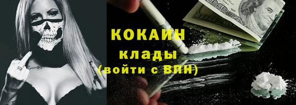 сатива Магадан