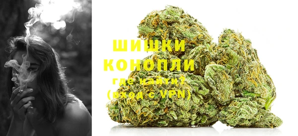 сатива Магадан