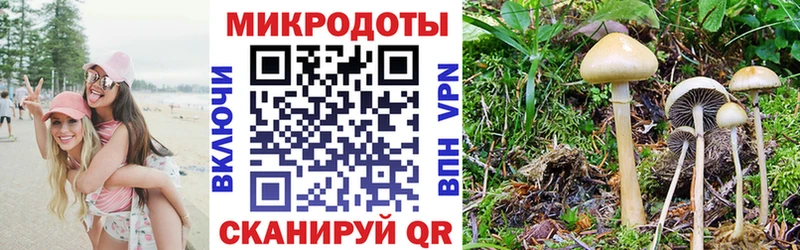 Галлюциногенные грибы Psilocybine cubensis  купить наркотики цена  kraken   Нерехта 