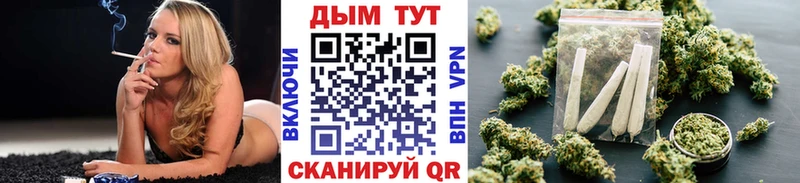купить   Нерехта  Канабис гибрид 